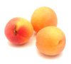 Apricot (Sárgabarack)