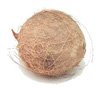 Coconut (kókusz)
