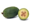 Feijoa (brazil guava, mirtuszdió)
