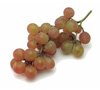 Grapes (szőlő)
